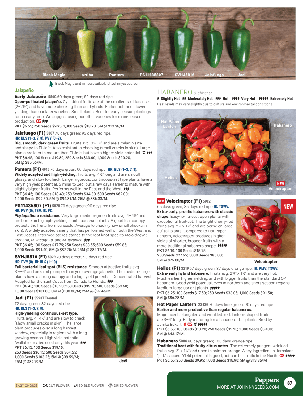 Flyer page 89
