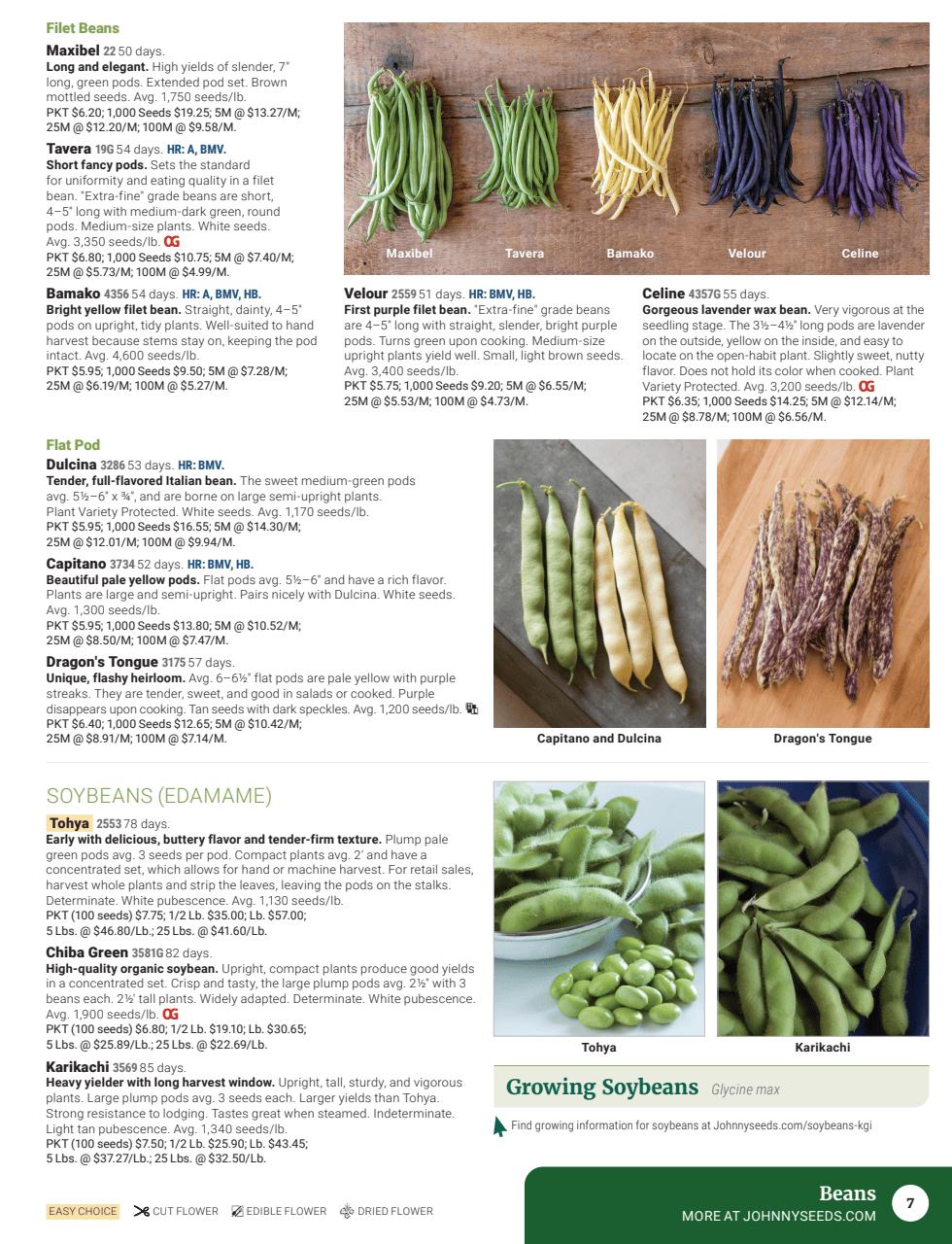 Flyer page 9