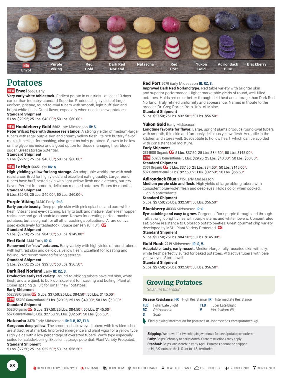 Flyer page 90