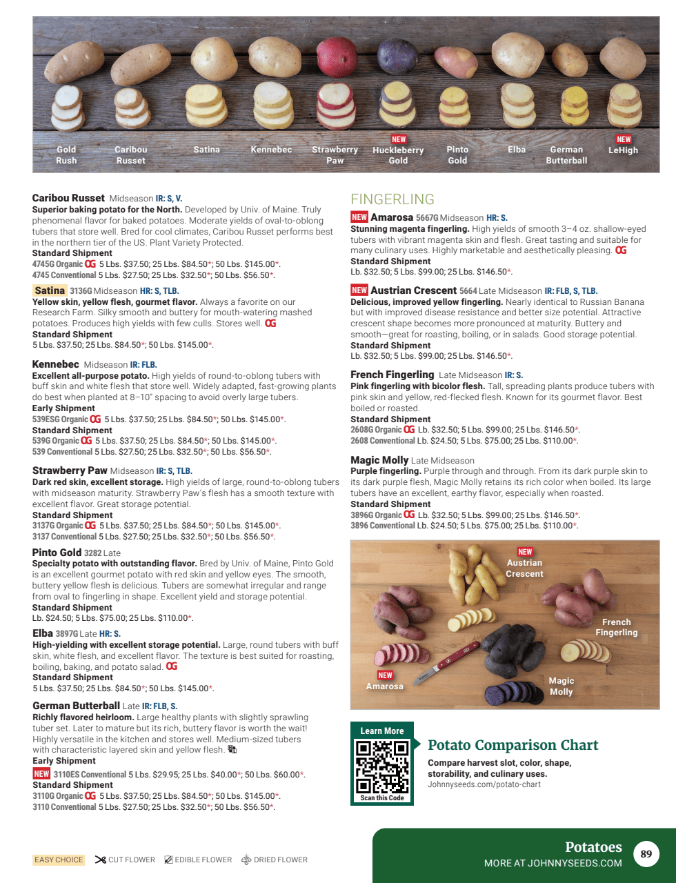 Flyer page 91