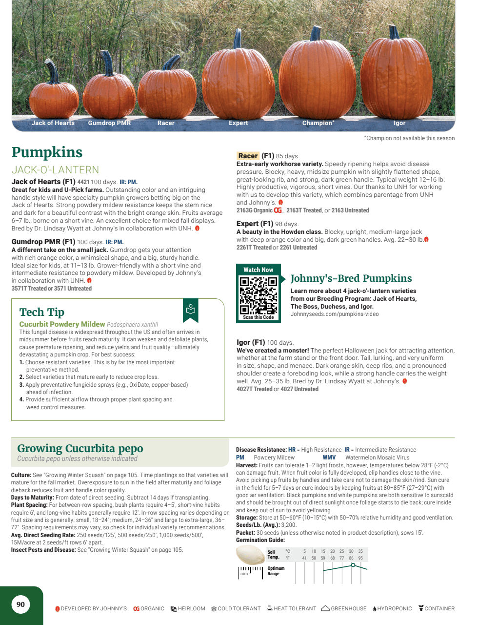 Flyer page 92