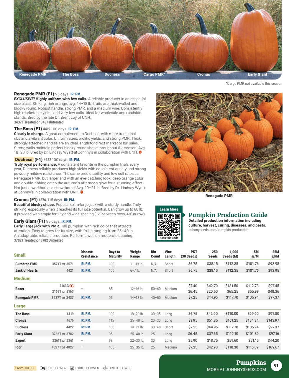 Flyer page 93