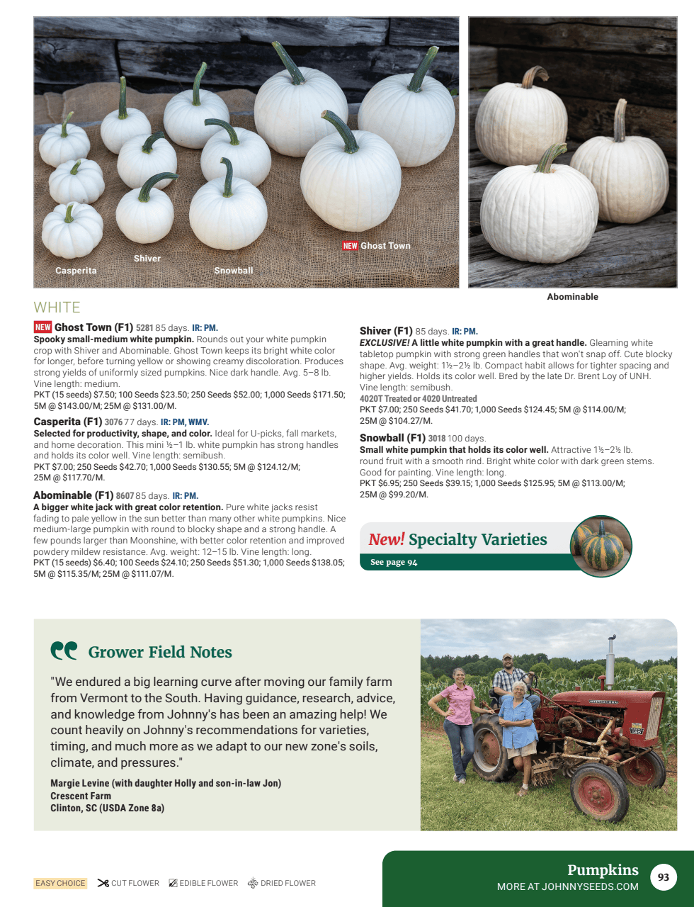 Flyer page 95