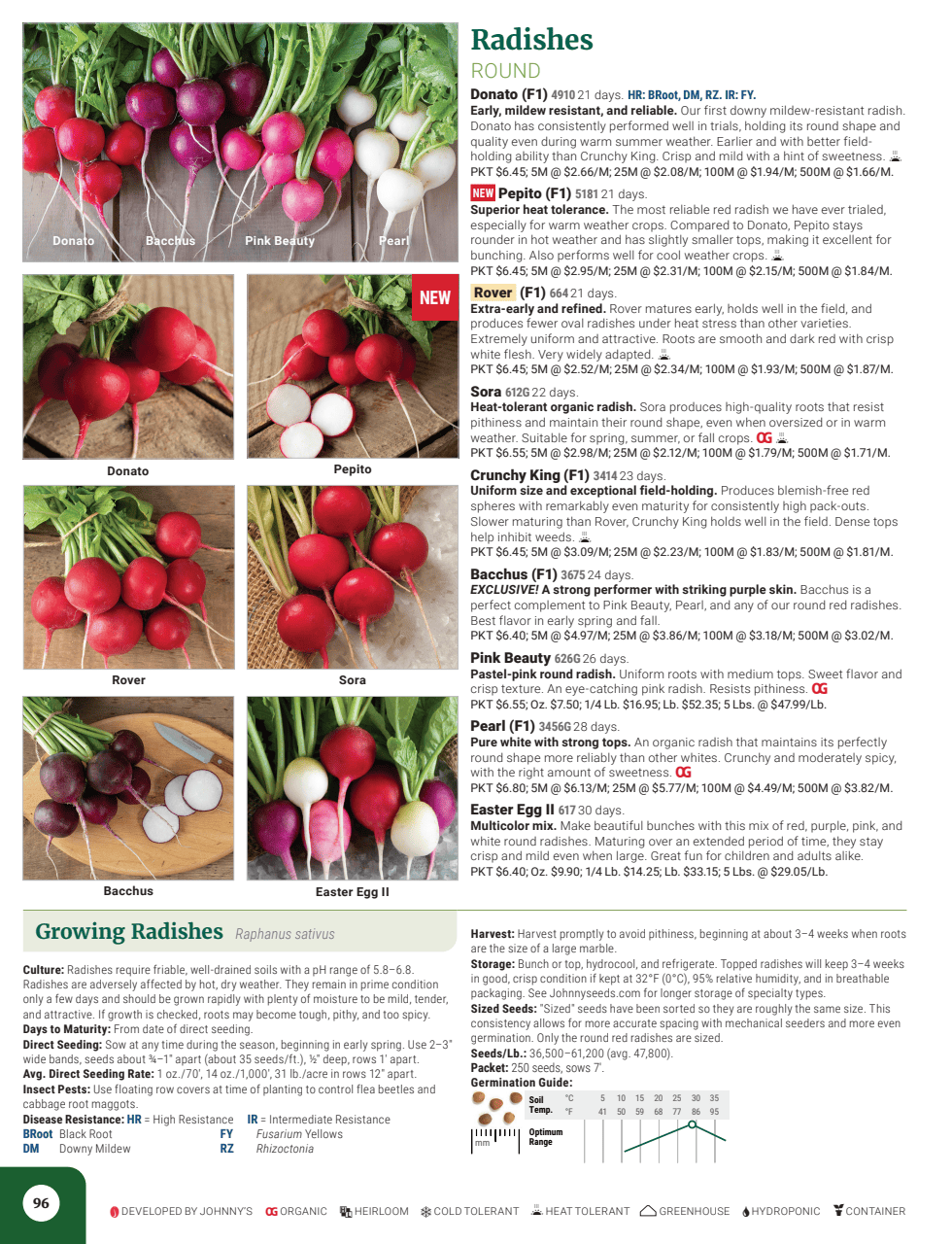 Flyer page 98