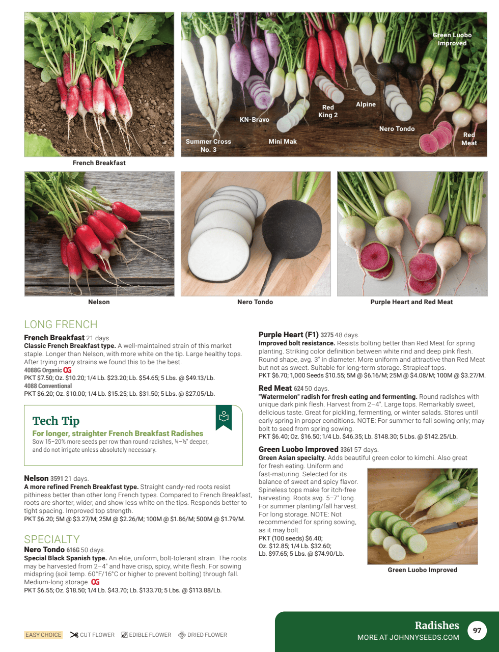 Flyer page 99