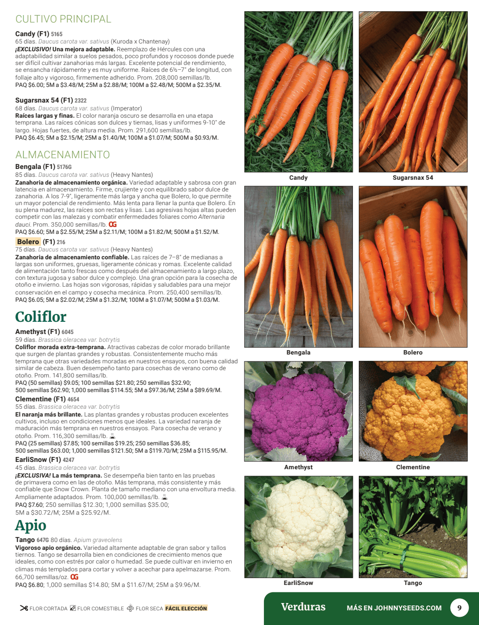 Flyer page 11