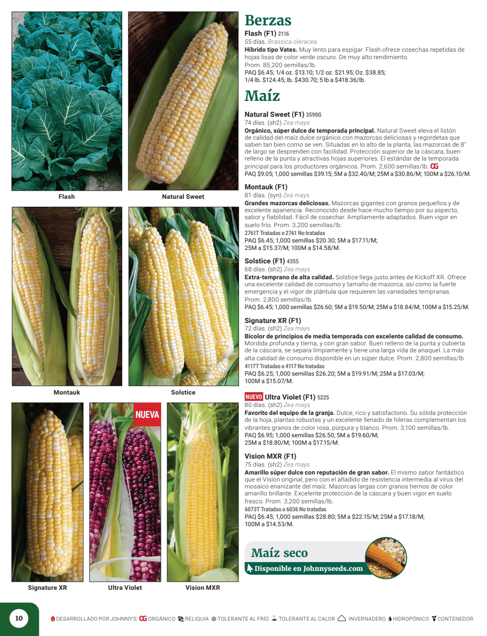 Flyer page 12