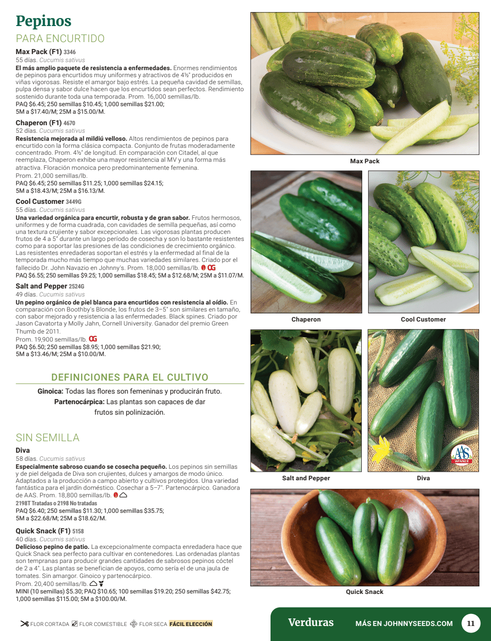 Flyer page 13