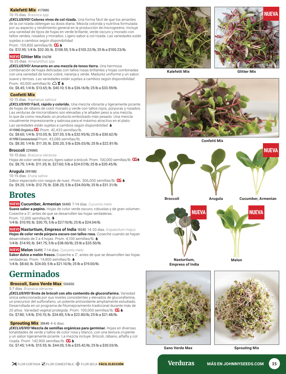 Flyer page 17