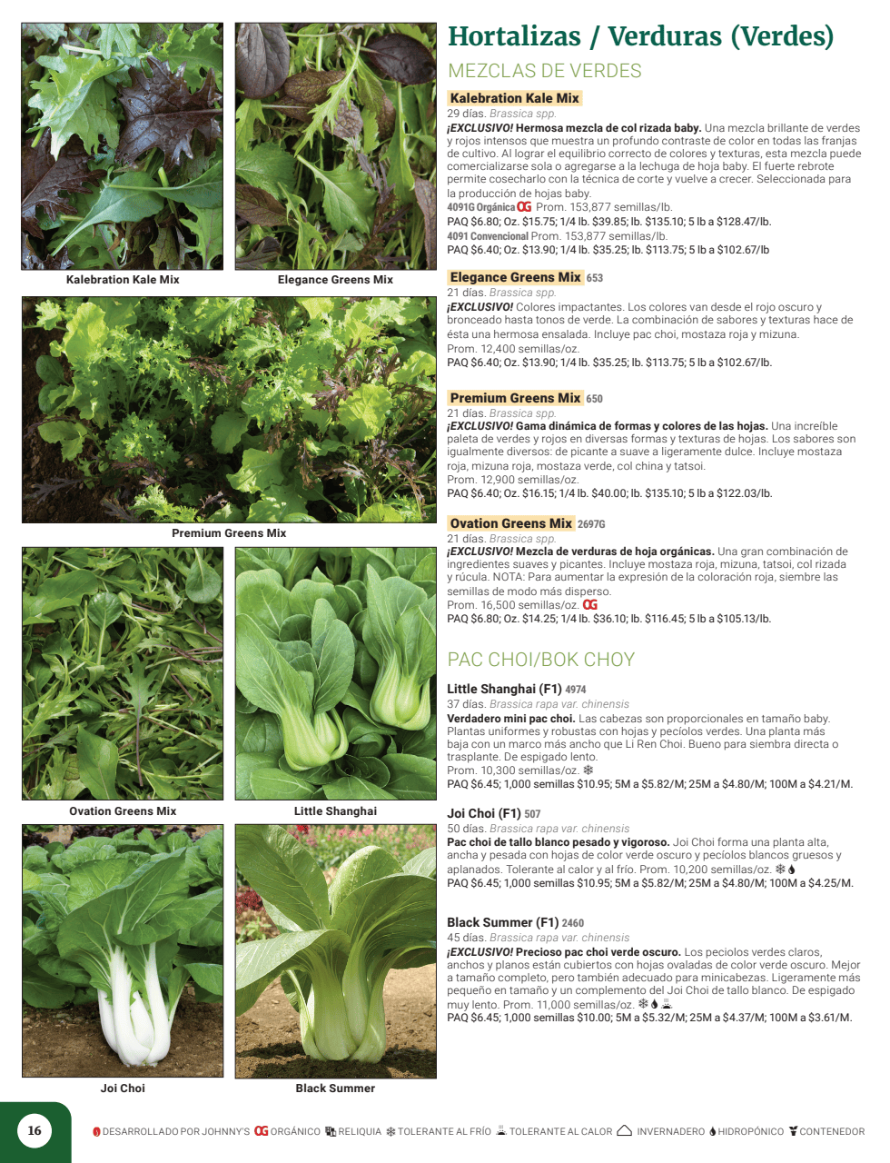 Flyer page 18