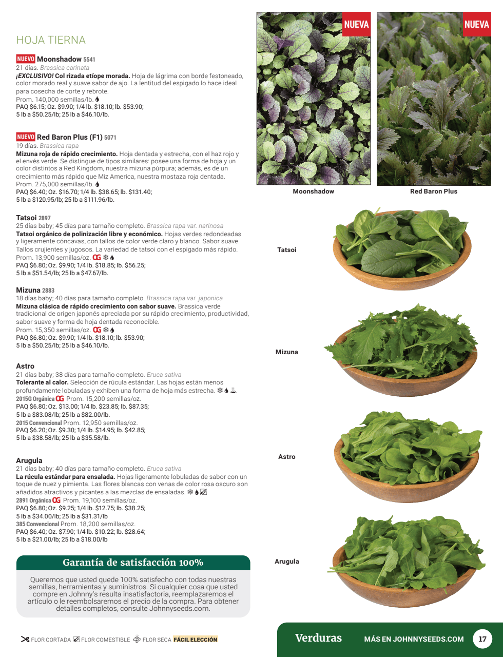 Flyer page 19