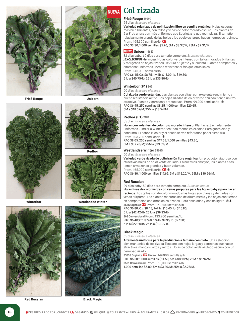 Flyer page 20
