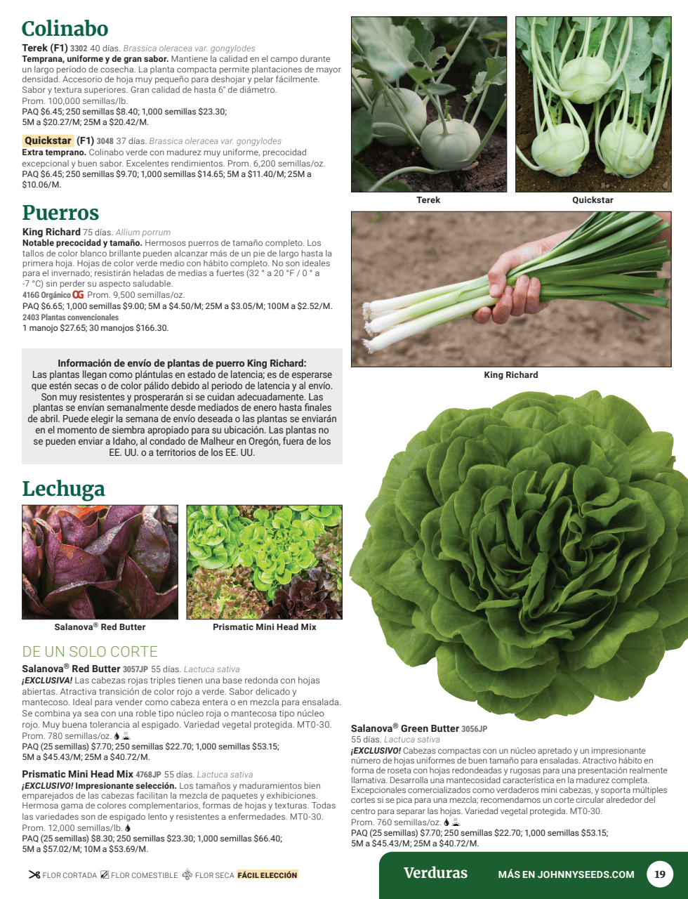 Flyer page 21