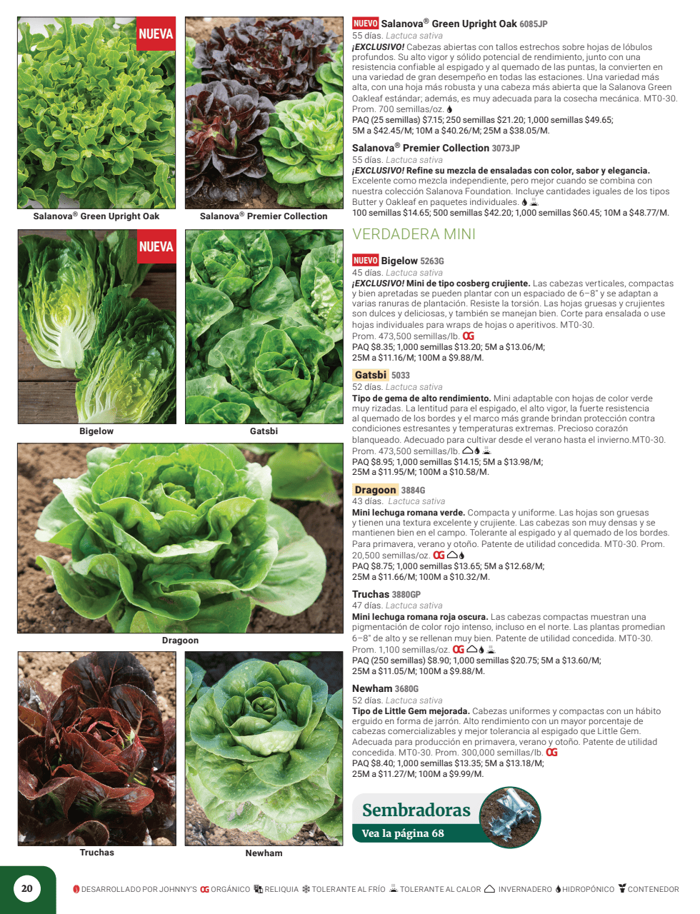 Flyer page 22