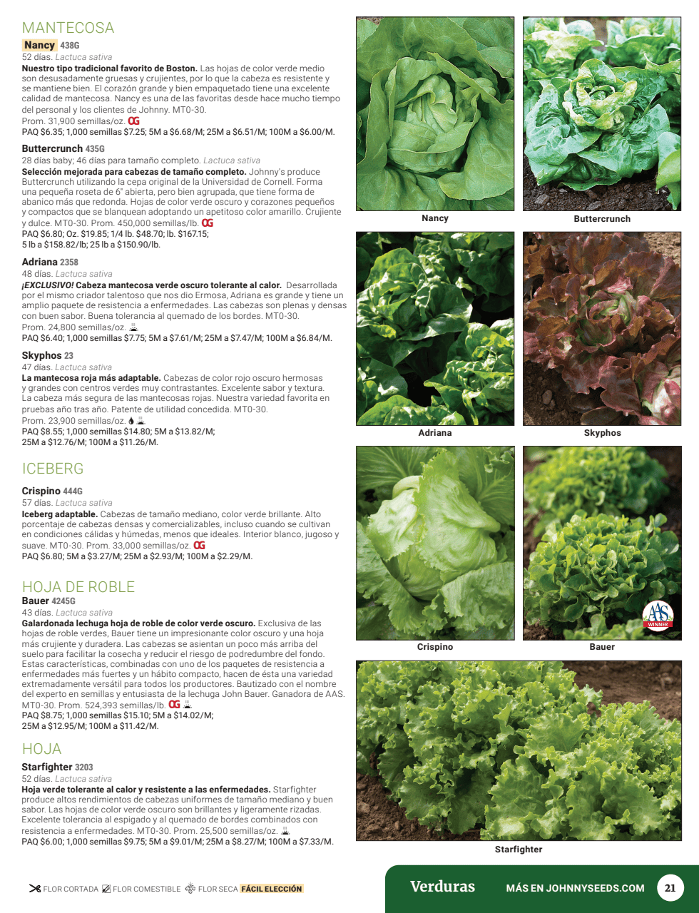 Flyer page 23