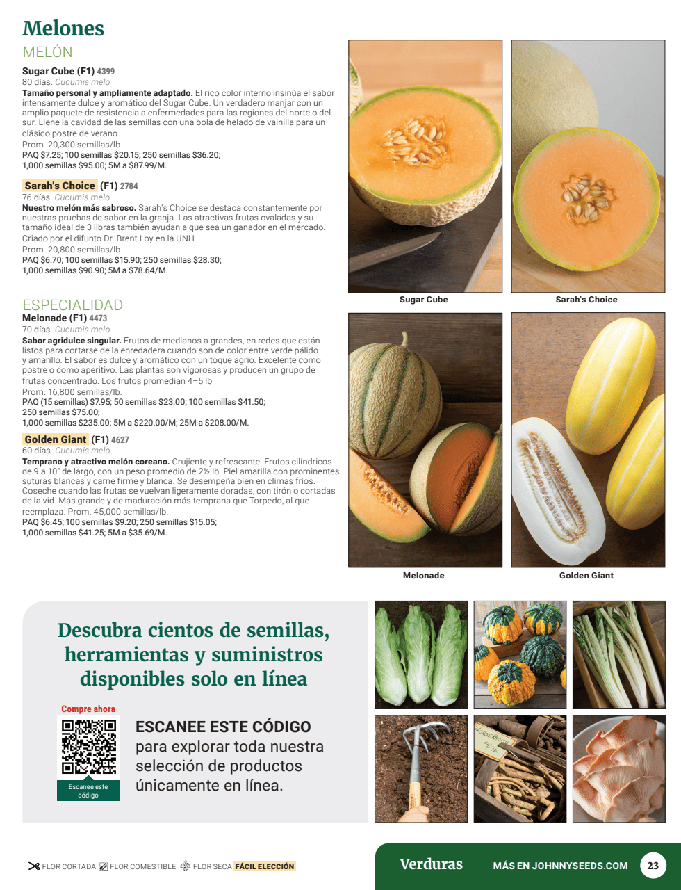 Flyer page 25
