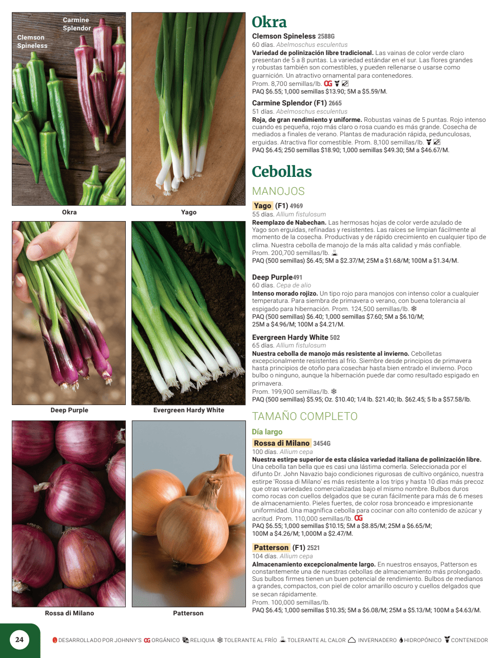 Flyer page 26
