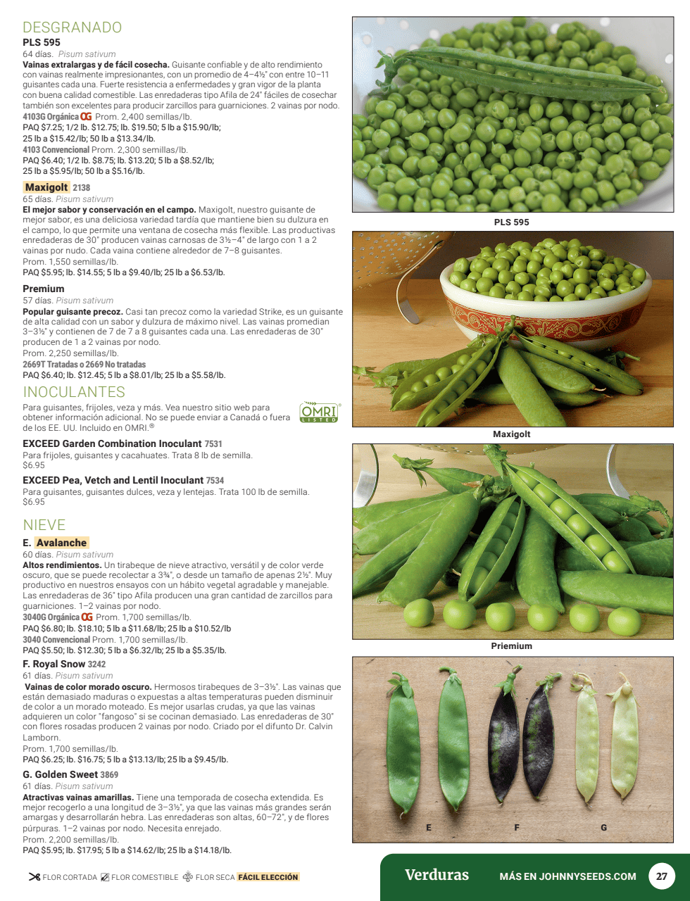 Flyer page 29