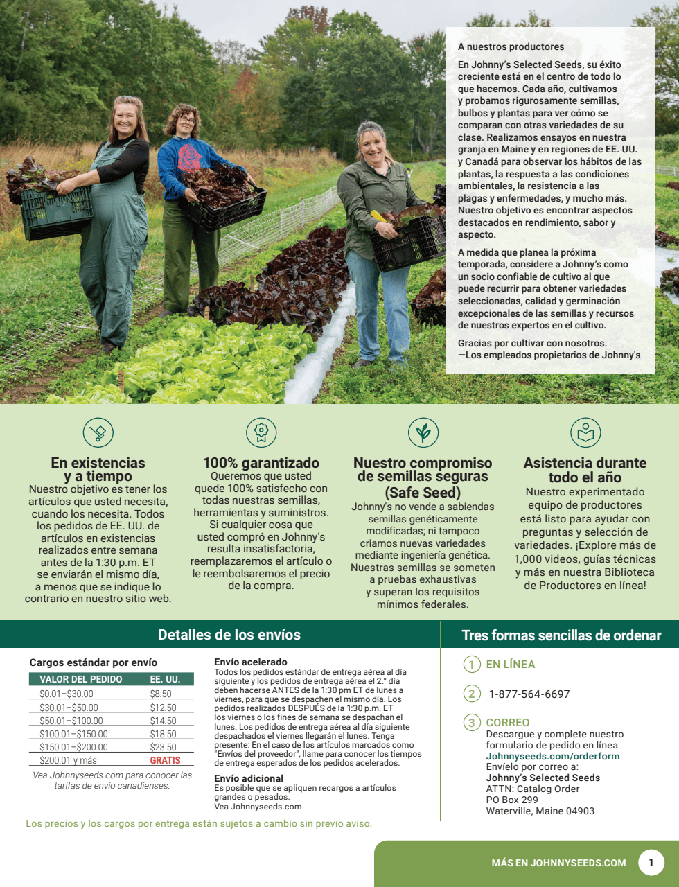 Flyer page 3