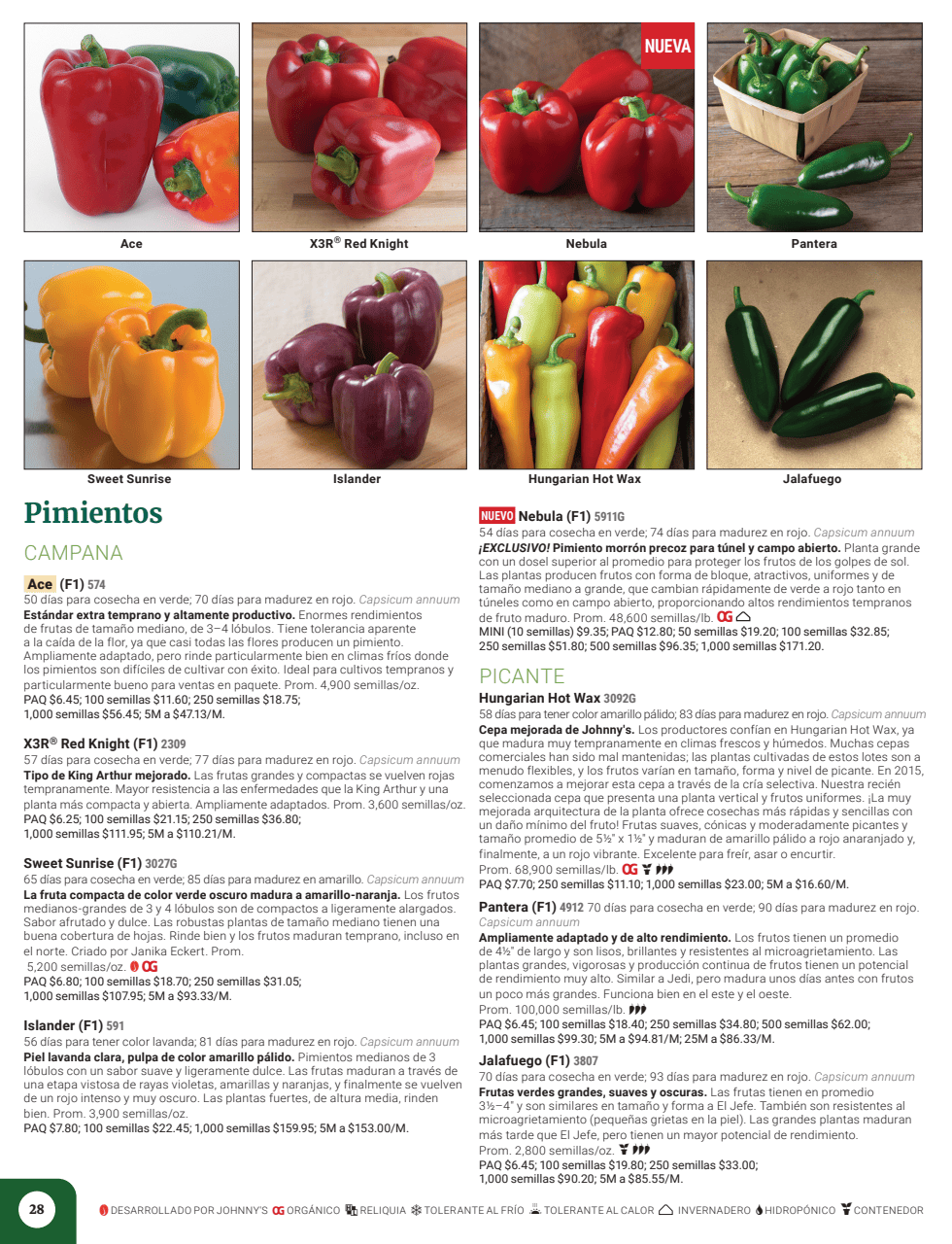 Flyer page 30