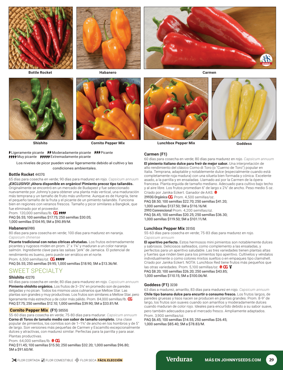 Flyer page 31