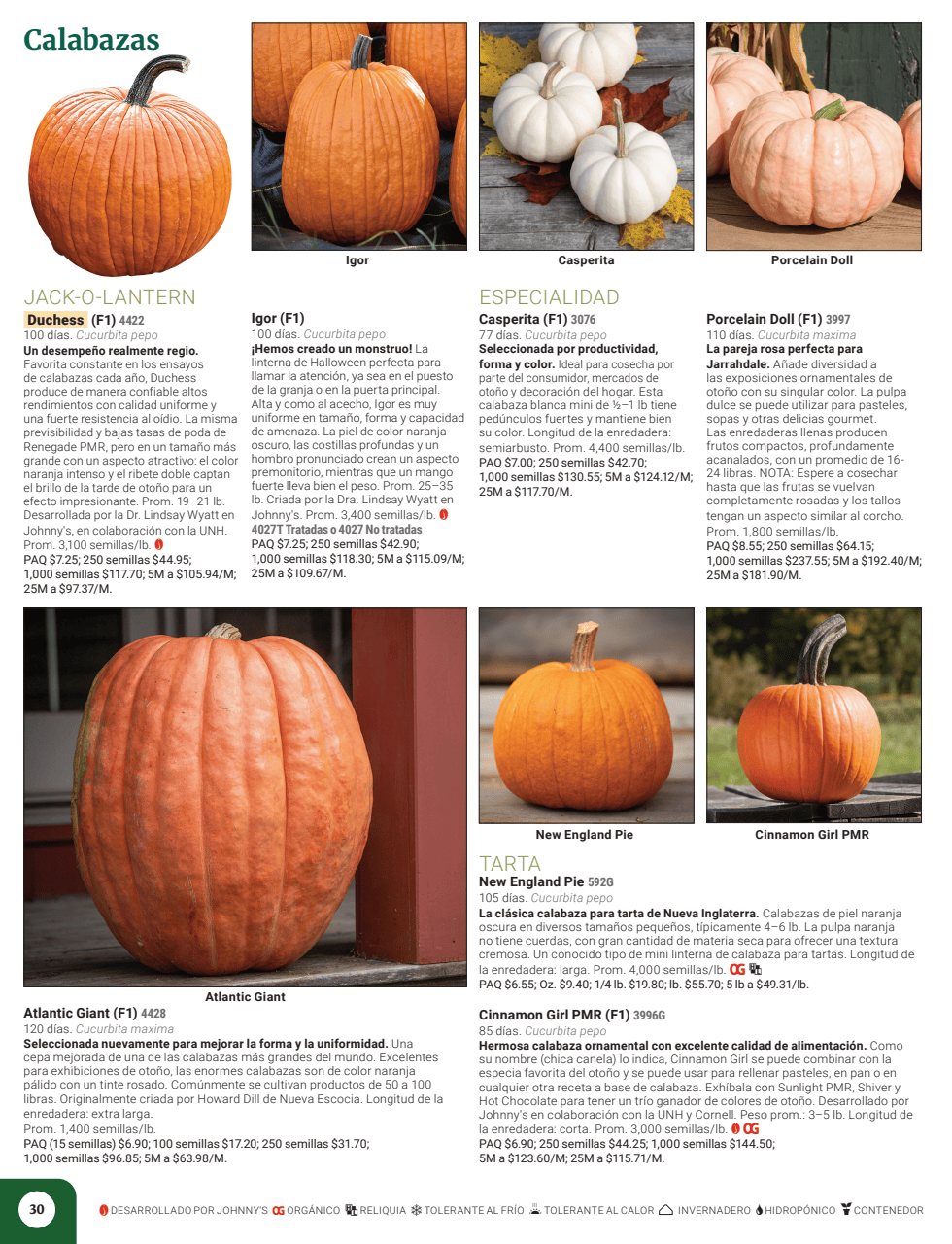 Flyer page 32