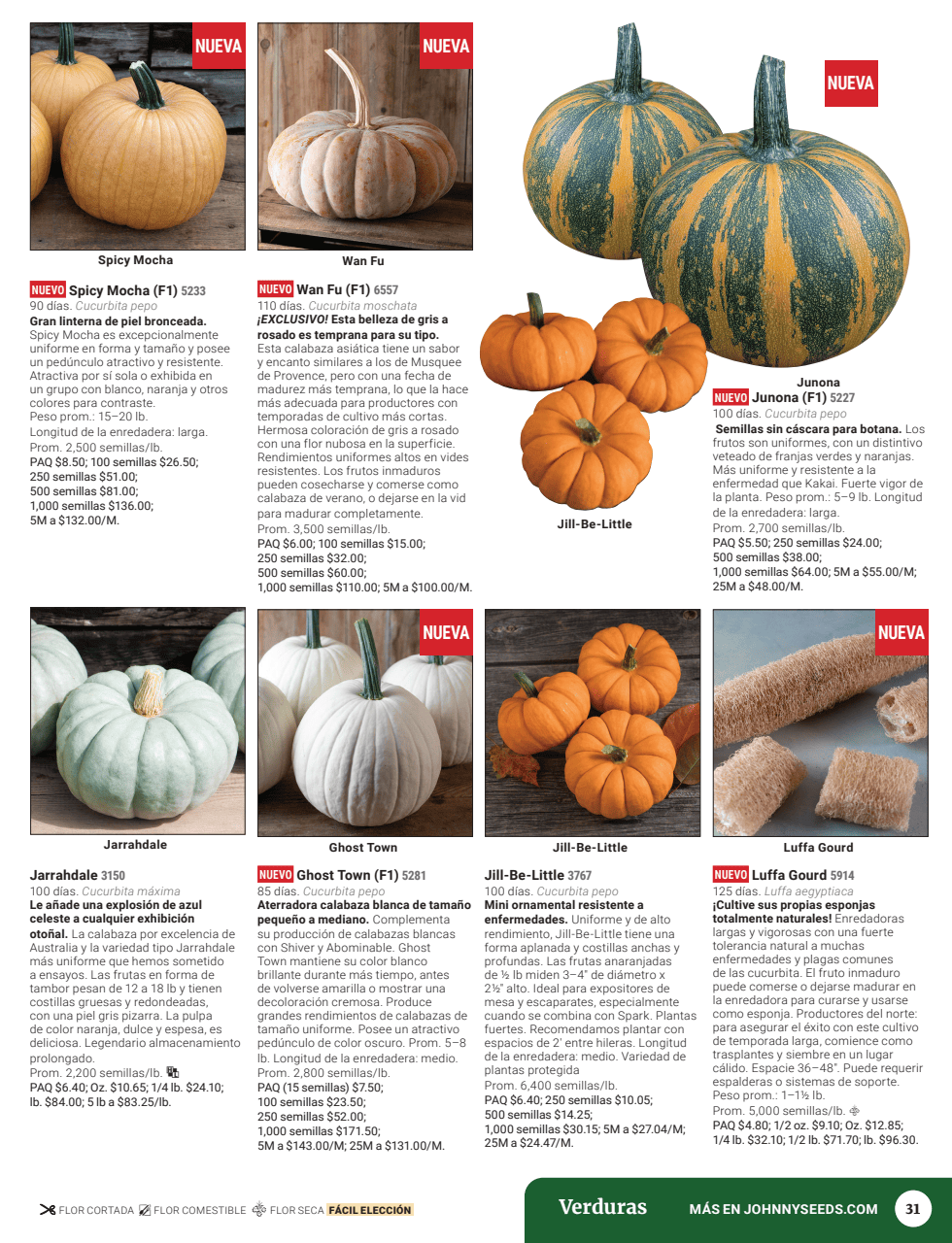 Flyer page 33