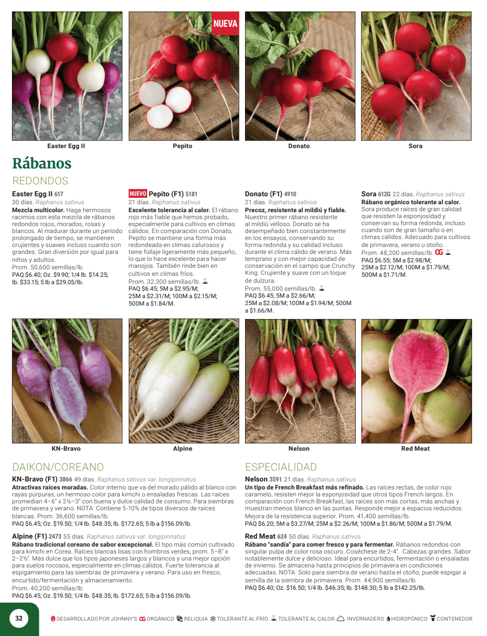 Flyer page 34
