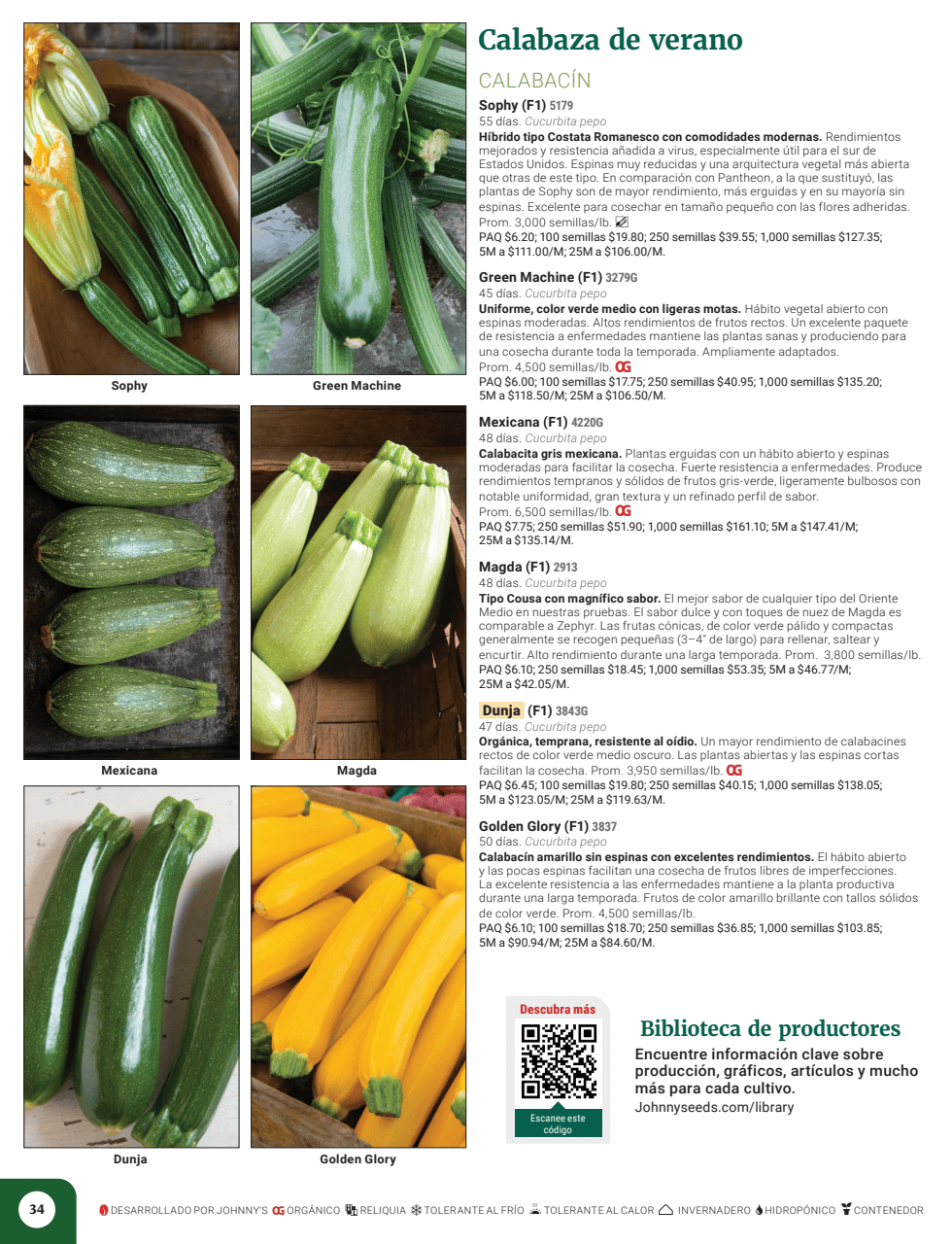 Flyer page 36