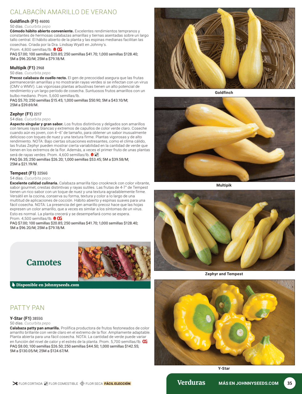 Flyer page 37