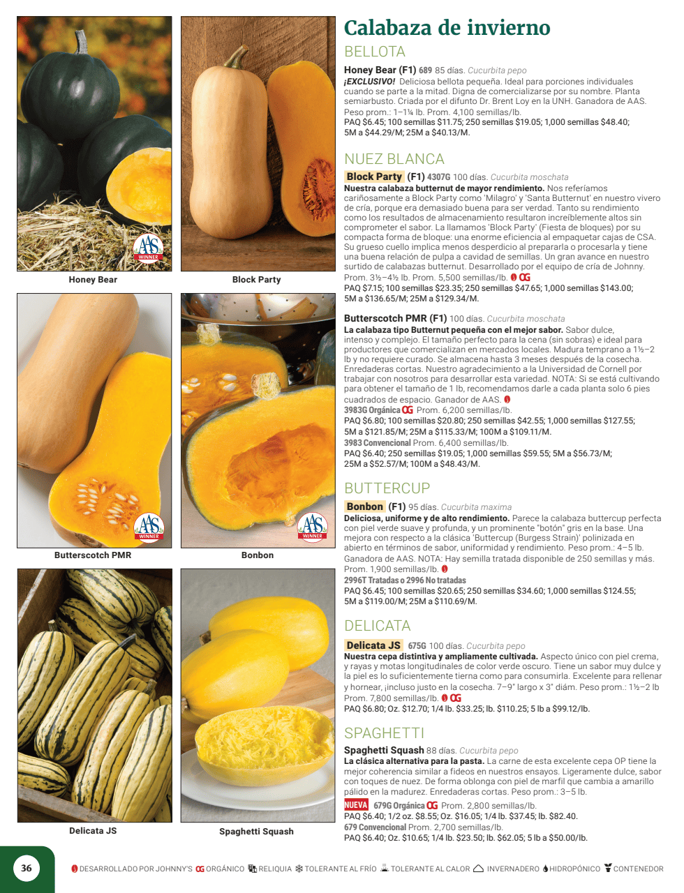 Flyer page 38