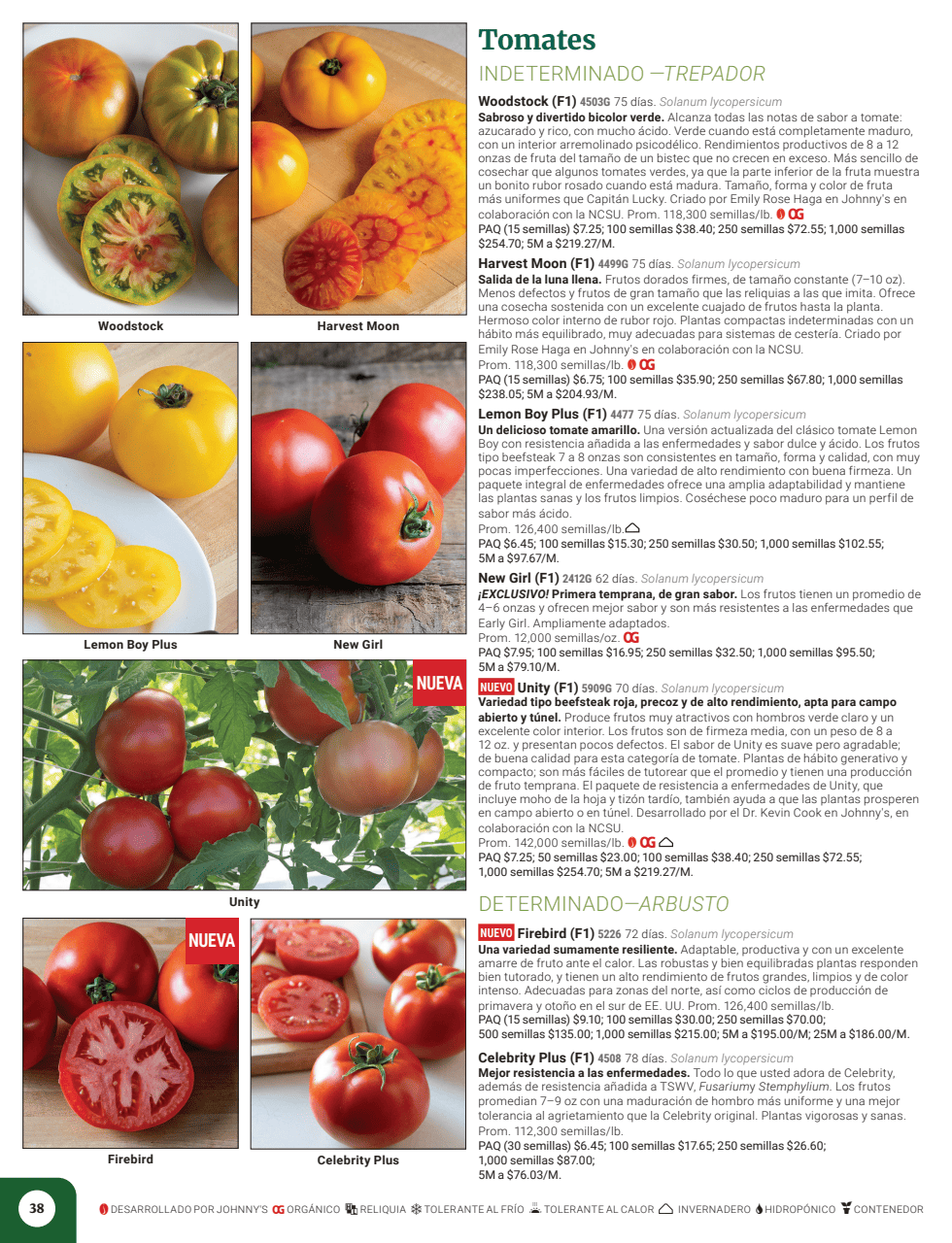 Flyer page 40