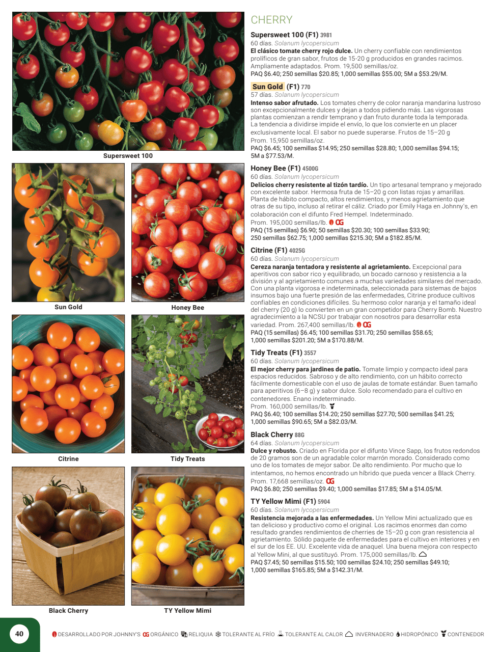 Flyer page 42