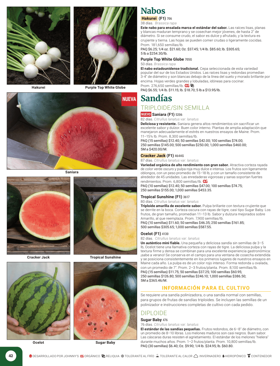 Flyer page 44