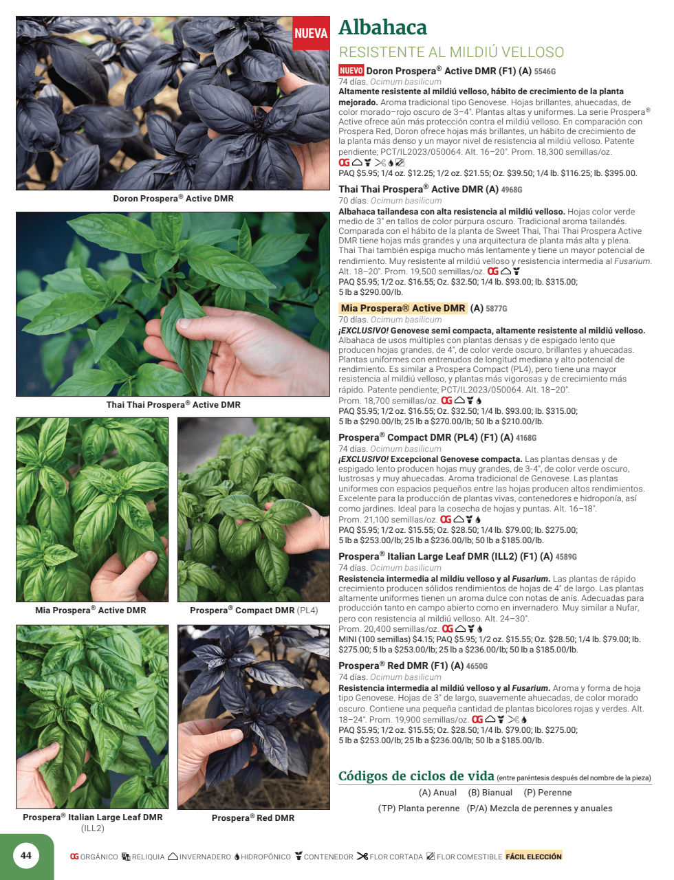 Flyer page 46