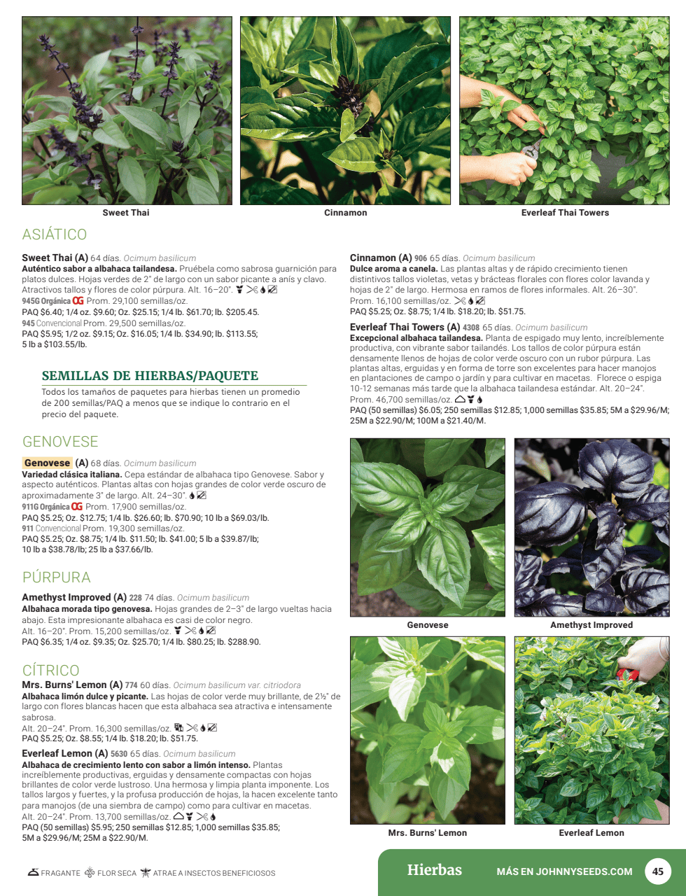 Flyer page 47