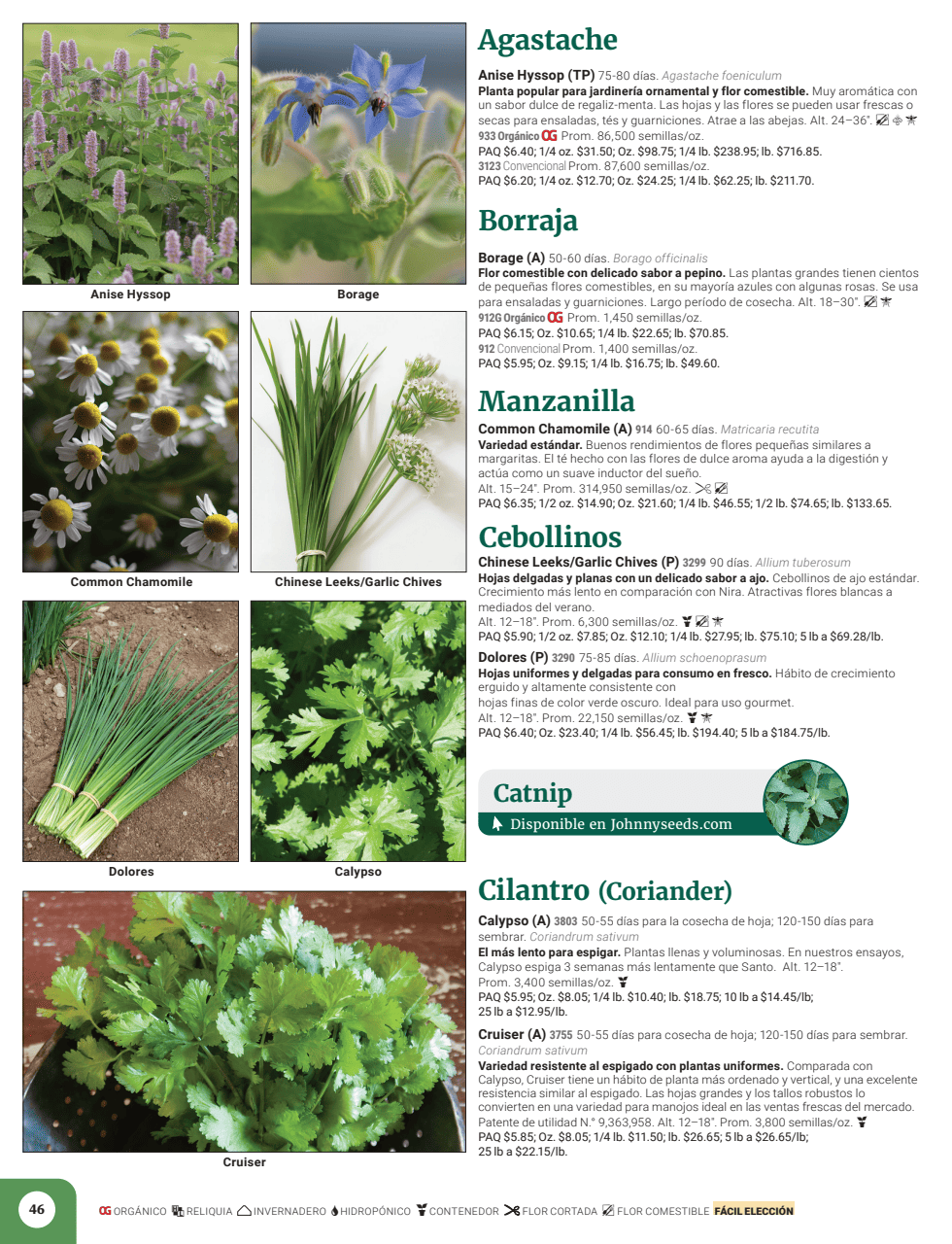 Flyer page 48