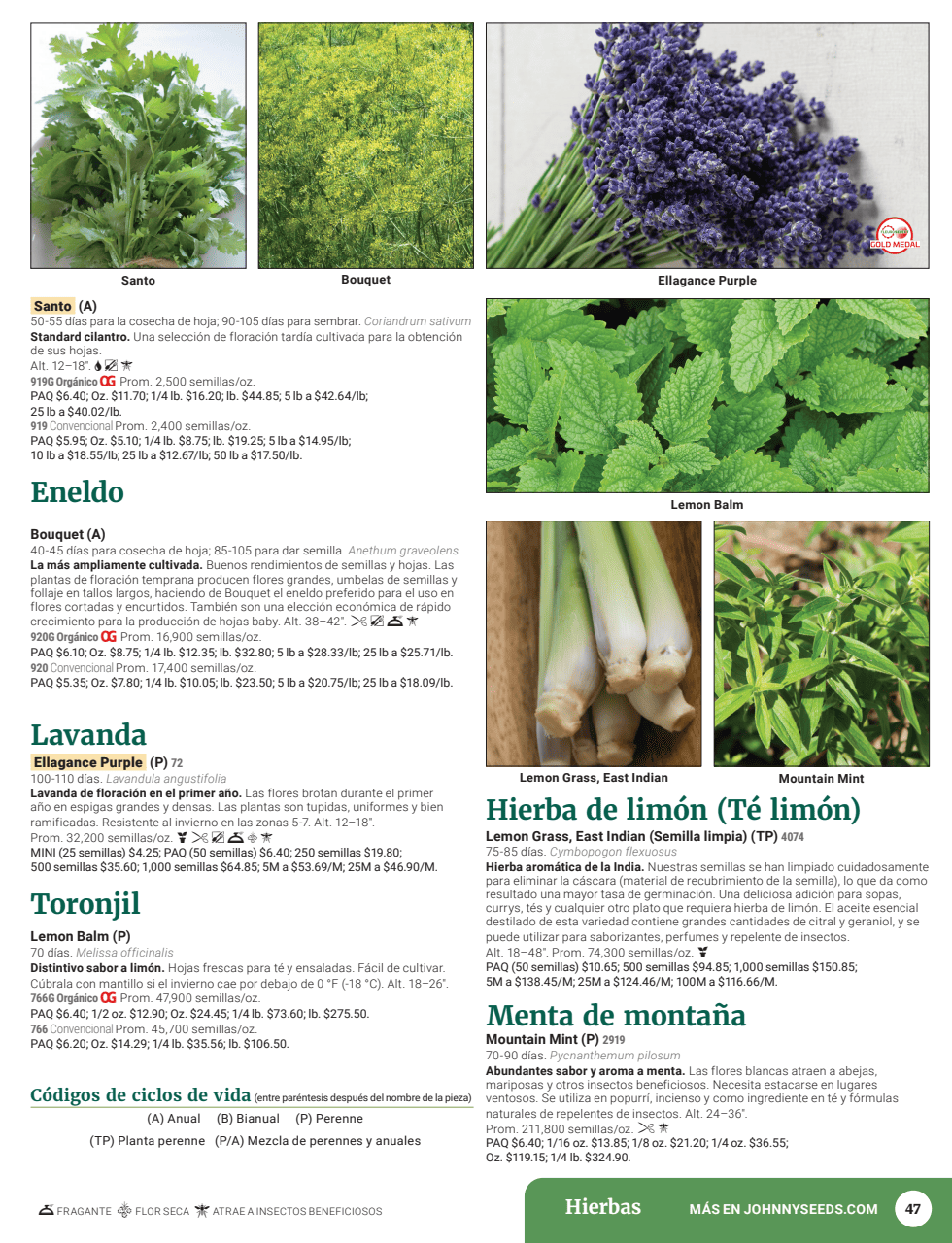 Flyer page 49