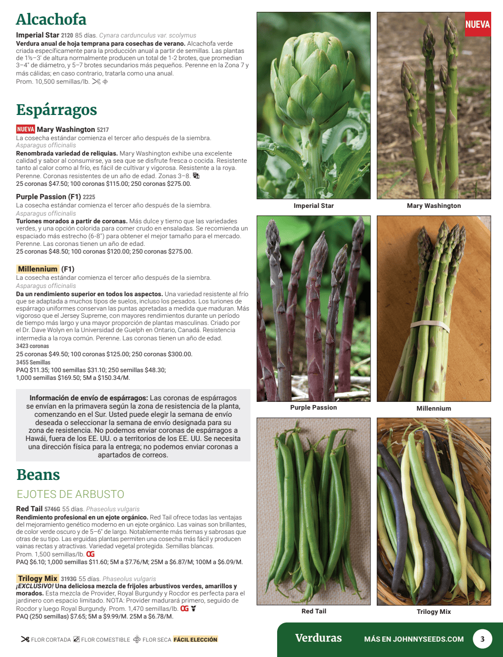 Flyer page 5