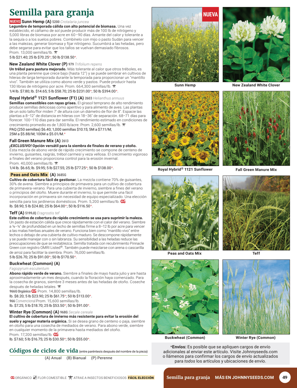 Flyer page 51