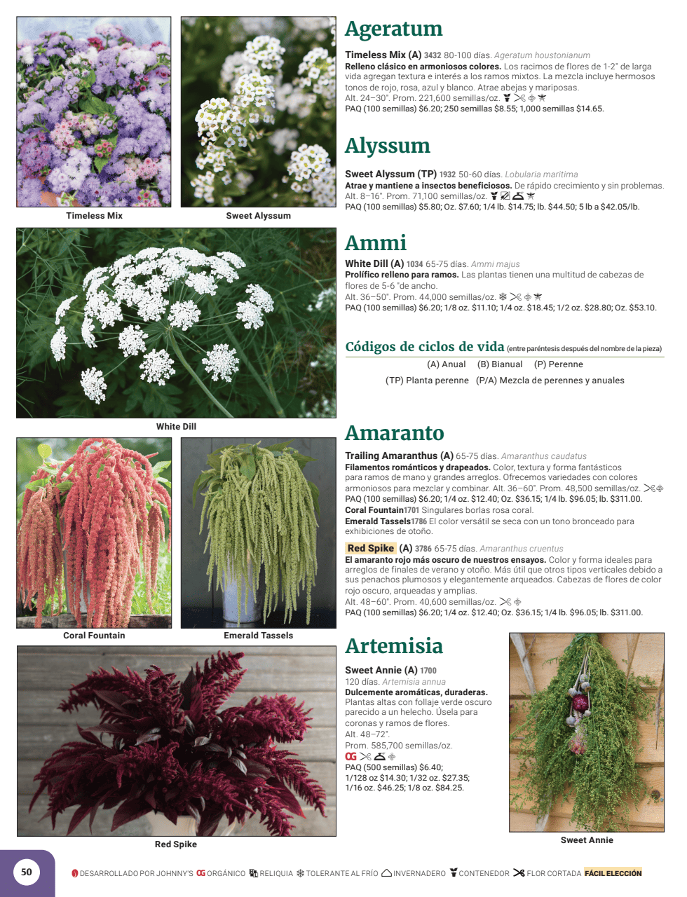 Flyer page 52