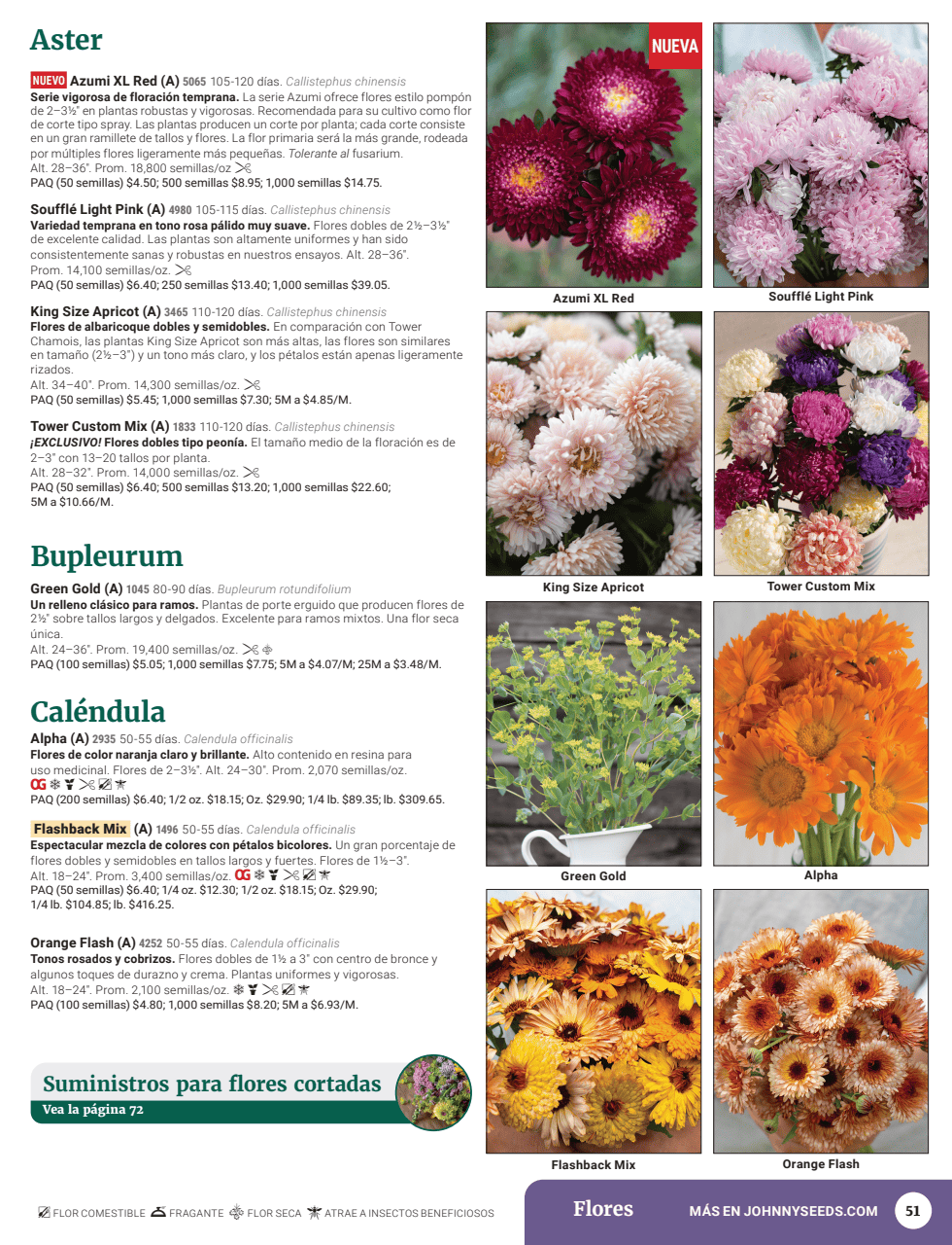 Flyer page 53