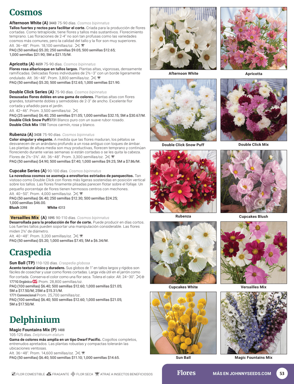 Flyer page 55