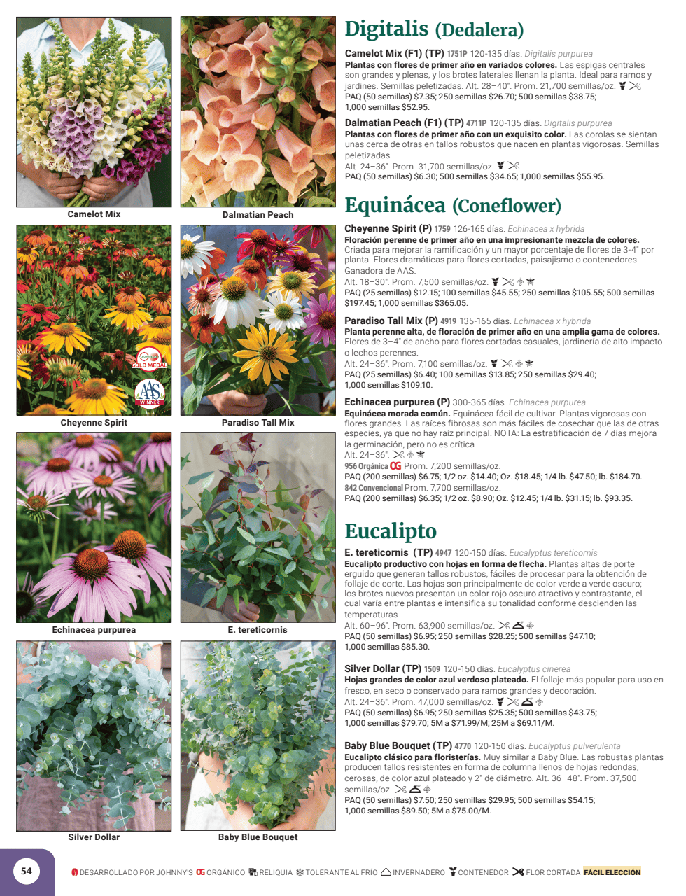 Flyer page 56