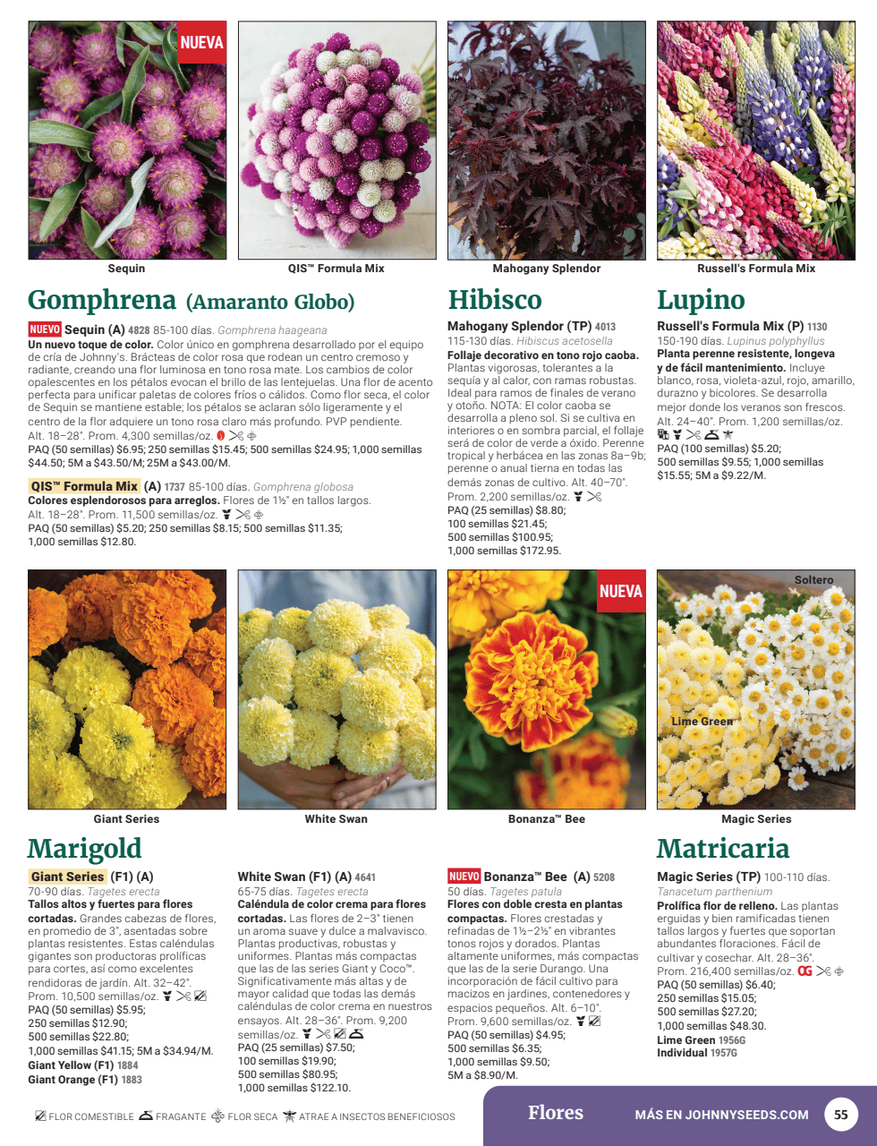 Flyer page 57