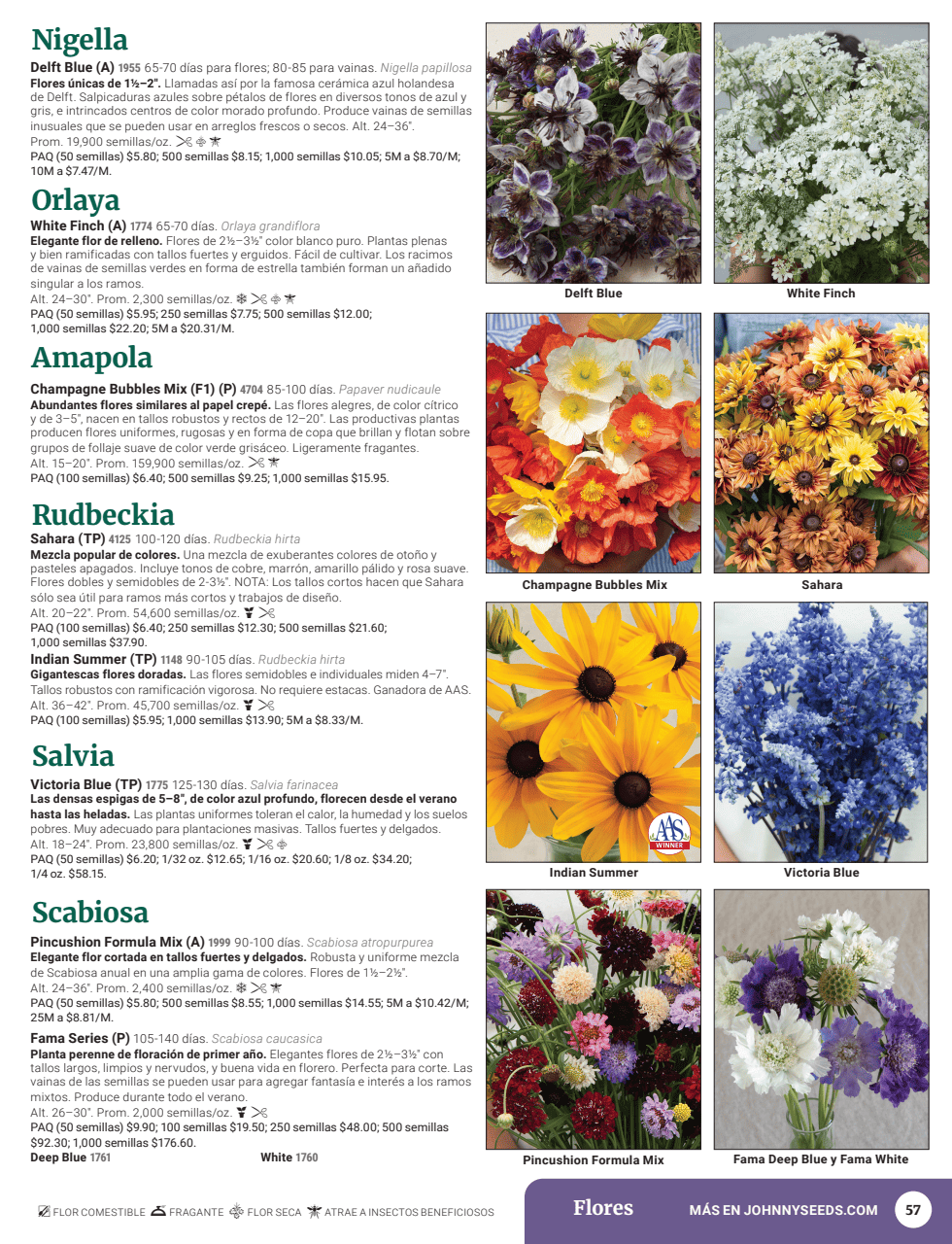 Flyer page 59