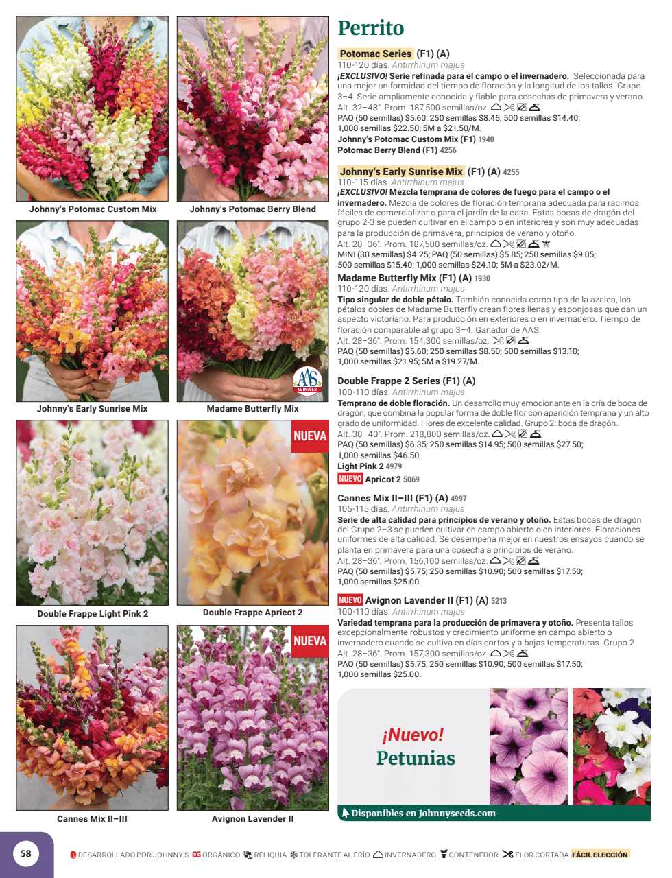 Flyer page 60