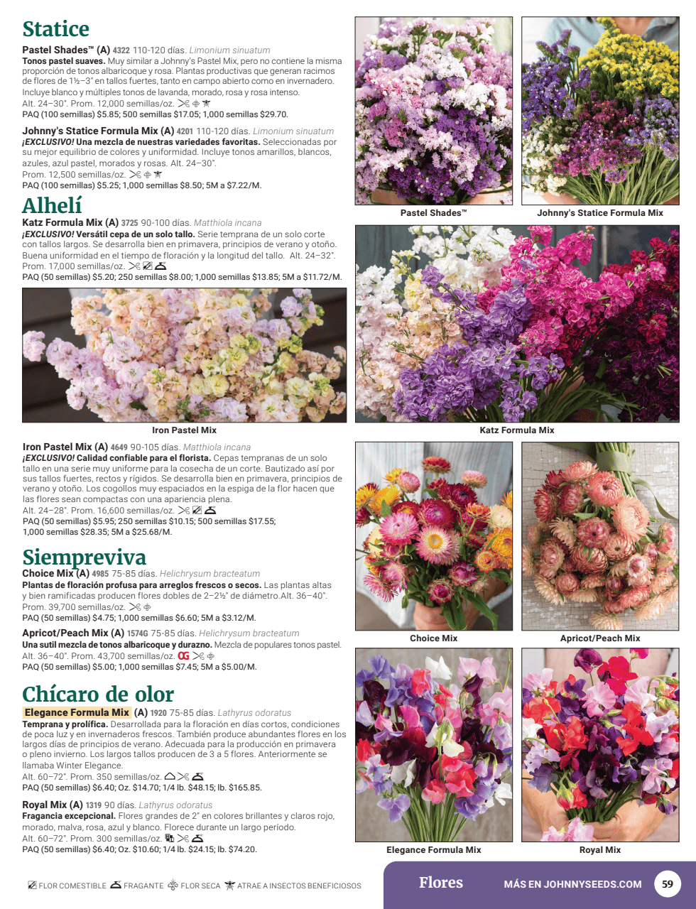 Flyer page 61