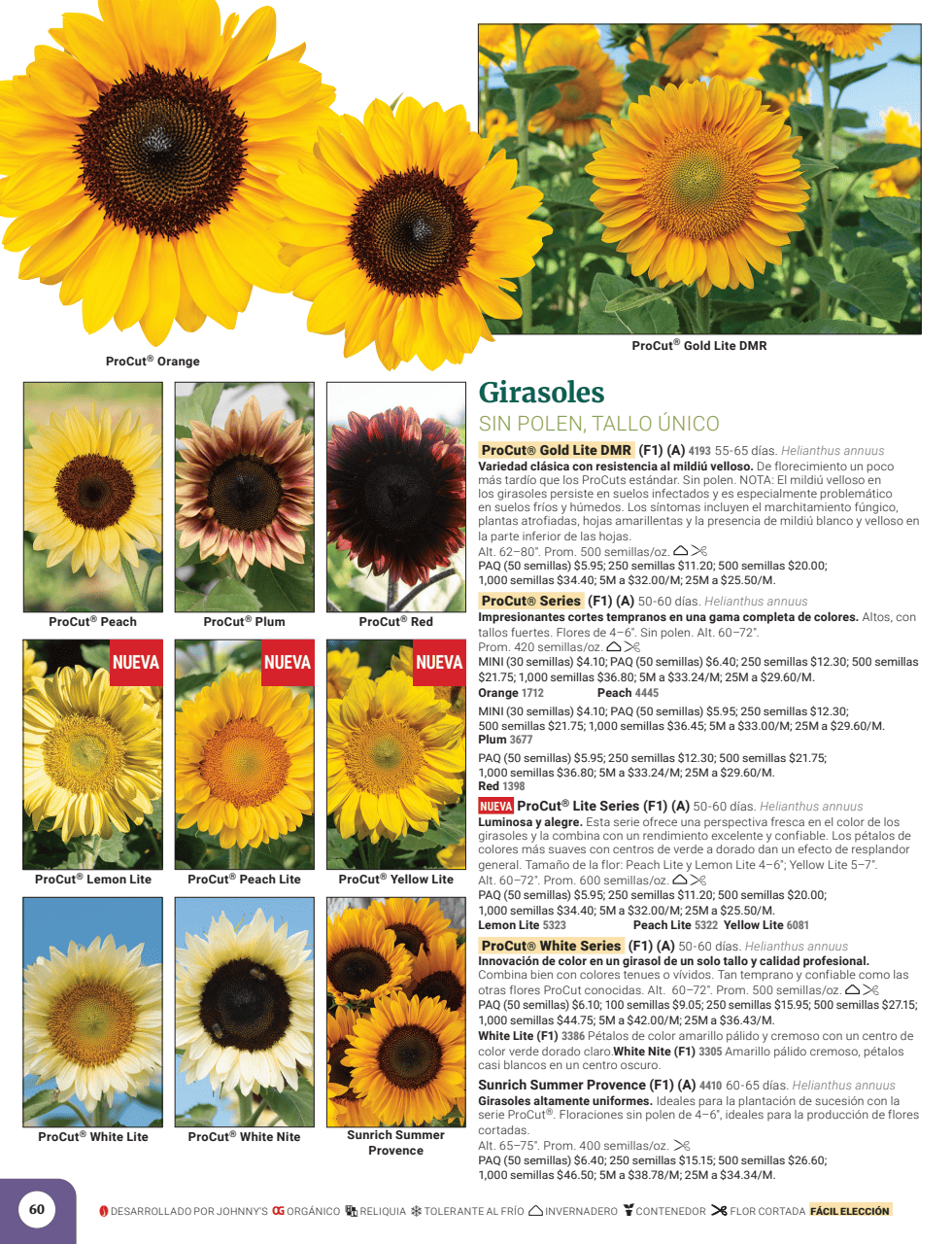 Flyer page 62
