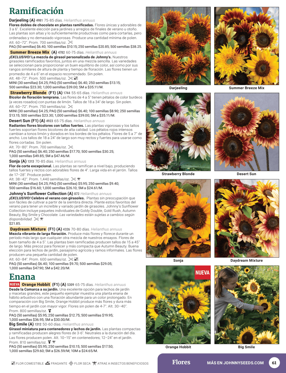 Flyer page 63